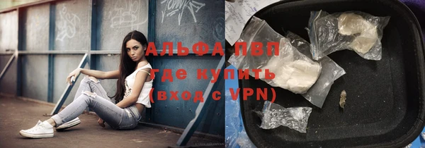 шишки Елизово