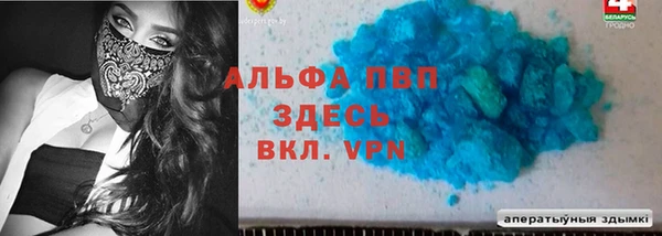 шишки Елизово