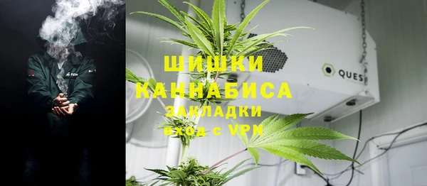 шишки Елизово