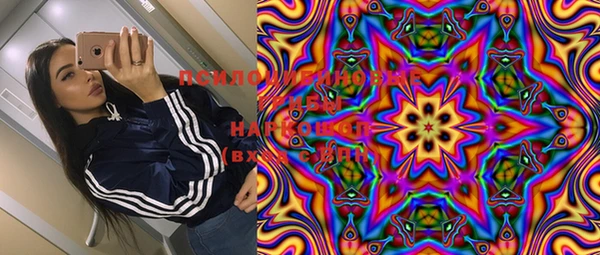 дурь Ельня