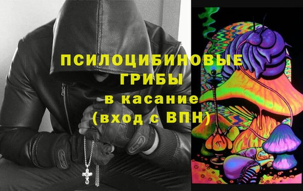 шишки Елизово