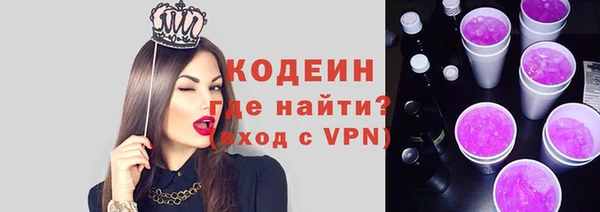 шишки Елизово