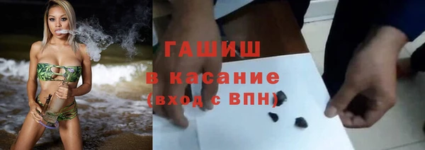 шишки Елизово