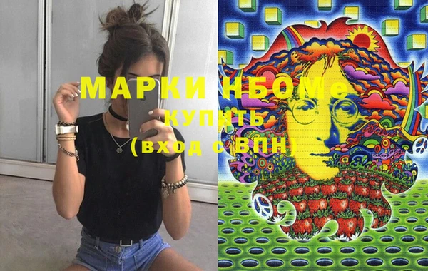 шишки Елизово
