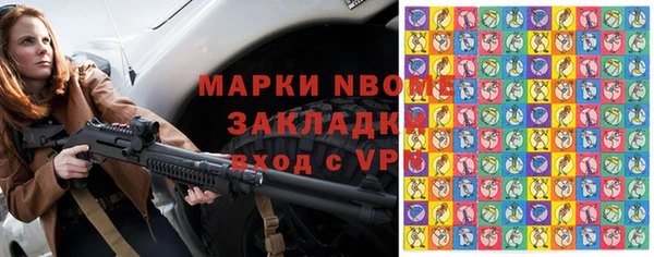 шишки Елизово