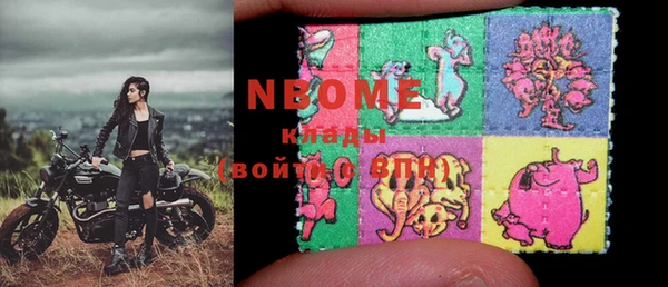 шишки Елизово