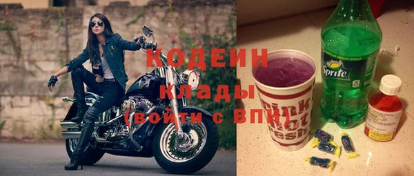 шишки Елизово