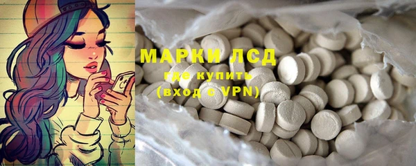 шишки Елизово