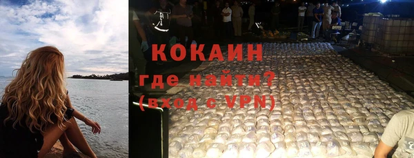 дурь Ельня