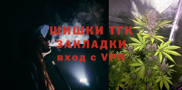 шишки Елизово