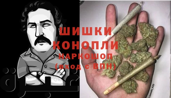 дурь Ельня