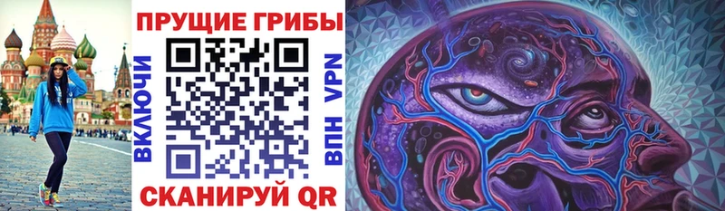 Галлюциногенные грибы GOLDEN TEACHER  где найти наркотики  Петропавловск-Камчатский 