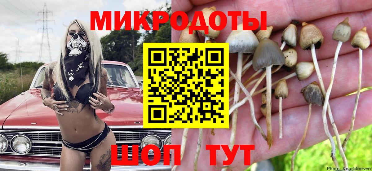 Галлюциногенные грибы мицелий Петропавловск-Камчатский
